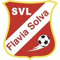 Logo Flavia Solva