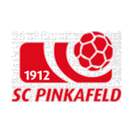 Logo Pinkafeld