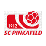Pinkafeld