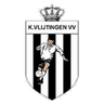 Vlijtingen