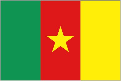Logo Cameroon W