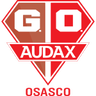 Gremio Osasco Audax