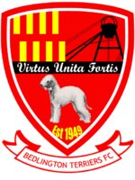 Logo Bedlington Terriers FC