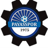 Payasspor