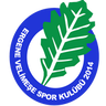 Ergene Velimeşespor
