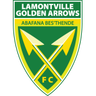 Golden Arrows