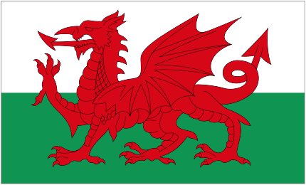 Logo Wales U21