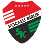 Logo Kocaeli Birlikspor
