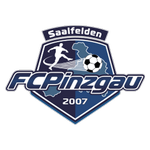 Logo Pinzgau Saalfelden