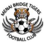 Logo Menai Bridge Tigers