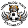 Menai Bridge Tigers