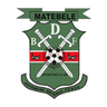 BDF XI