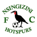 Logo Nsingizini Hotspurs