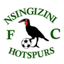 Nsingizini Hotspurs