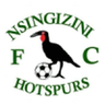Nsingizini Hotspurs