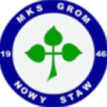 Logo Grom Nowy Staw