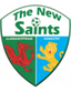 The New Saints U19