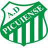 Picuiense