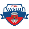 CSM FC Vaslui