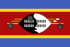 Logo Eswatini U20