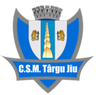 CSM Targu Jiu