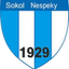 Sokol Nespeky