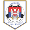 Dianella White Eagle