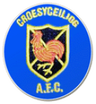 Croesyceiliog AFC