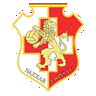 Naxxar Lions