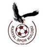 Kartalspor