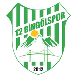 Logo 12 Bingölspor