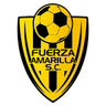 Fuerza Amarilla