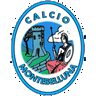 Montebelluna