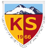 Kayserispor