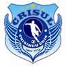 Crişul Chişineu Criş