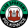 Górnik Polkowice