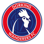Logo Dorking Wanderers