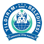 Logo Bursa Yıldırımspor