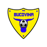 Bucovina Rădăuţi