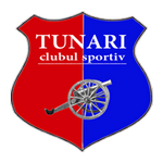 Logo Tunari