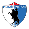 Merzifonspor