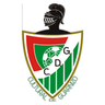 Guarnizo