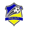 Ngozi City