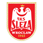 Logo Ślęza Wrocław