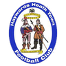 Haywards Heath Town