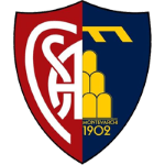 Logo Montevarchi Calcio