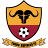 Young Buffaloes