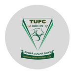 Logo Triangle United