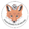 Stade Renard